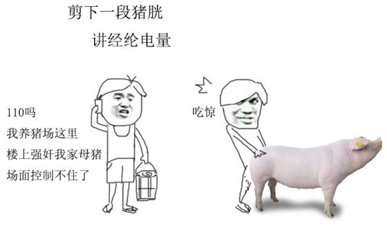 a天堂在线观看视频-蓝光完整版在线观看完整版