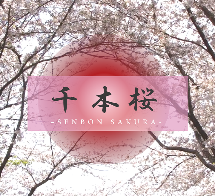 91chinese一区二区三区-国产剧在线观看完整视频大全
